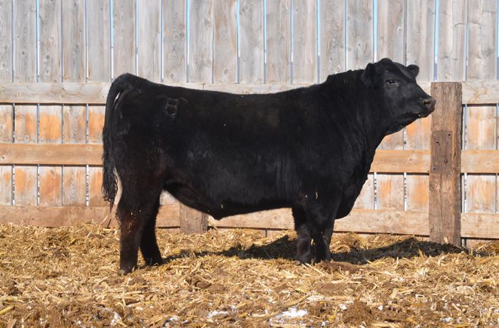 Lot 5