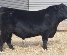 Lot 2