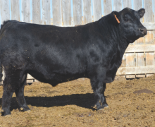 Lot 2