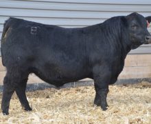 Lot 3