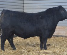 Lot 32