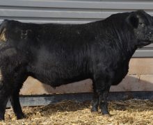 Lot 58