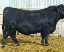 Lot 10