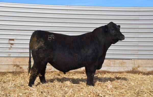 Lot 1
