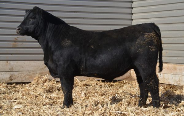 Lot 10