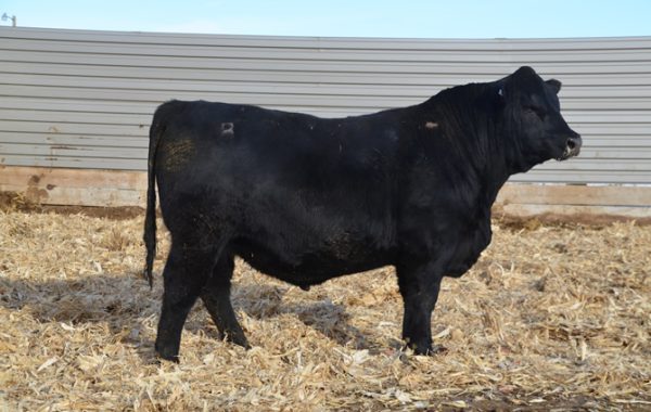 Lot 18