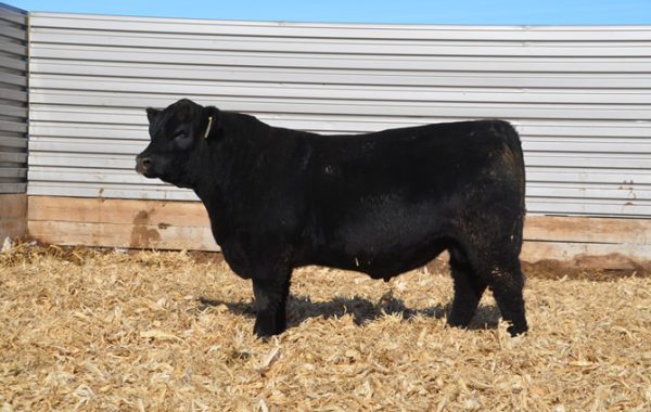 Lot 27