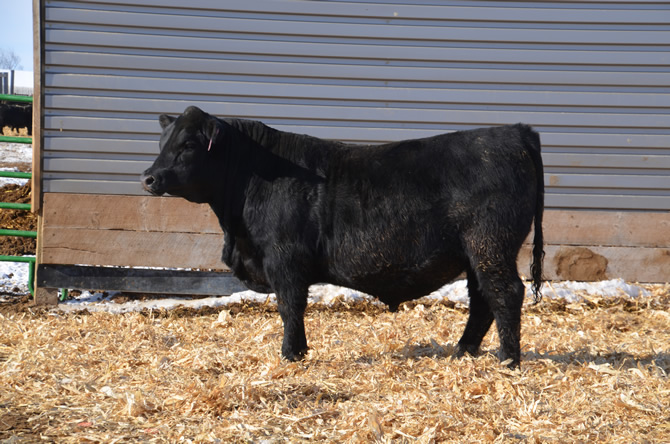 Lot 35