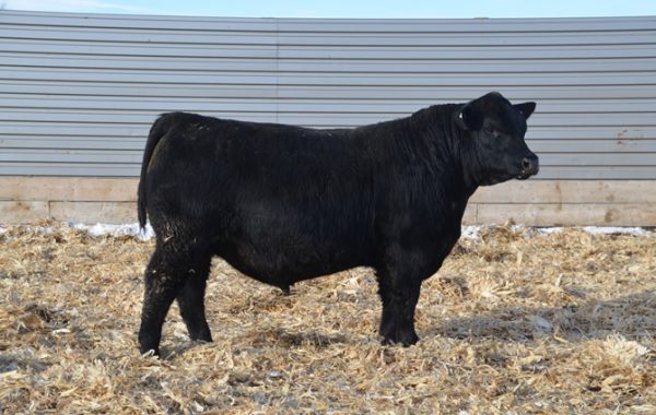 Lot 37