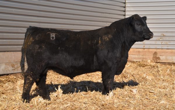 Lot 4