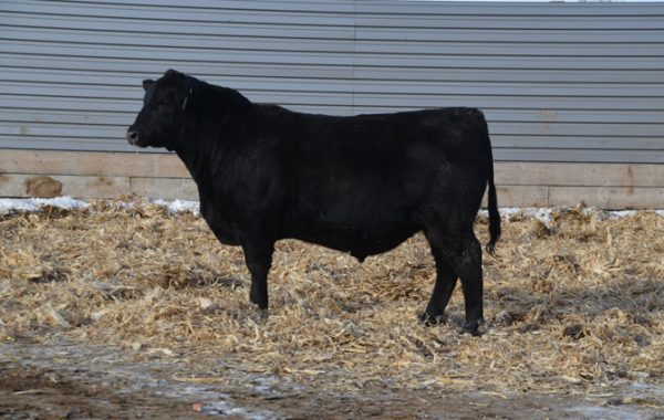 Lot 42