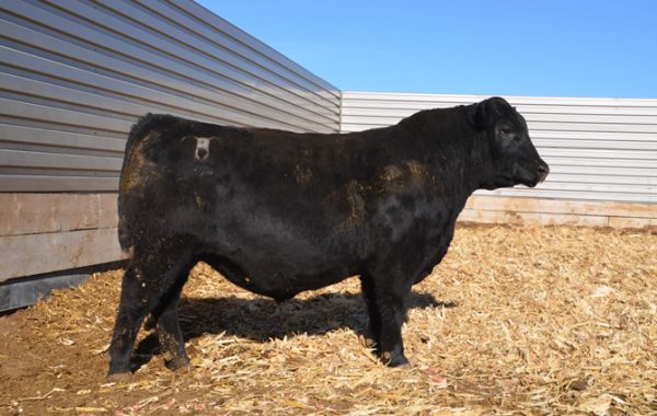 Lot 5
