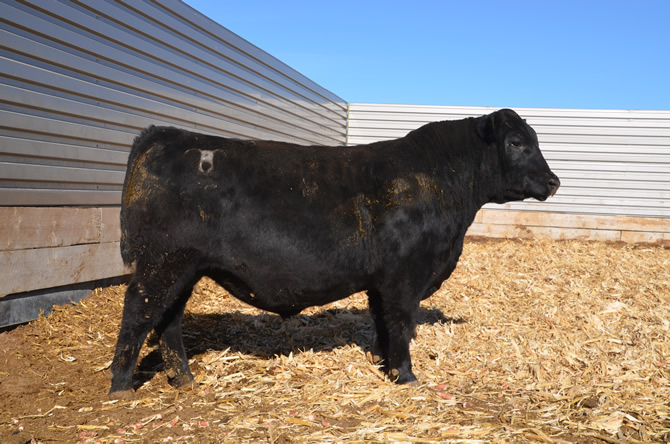 Lot 5