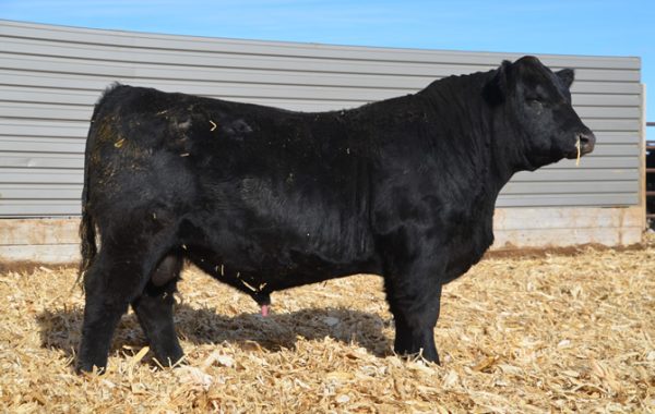 Lot 6