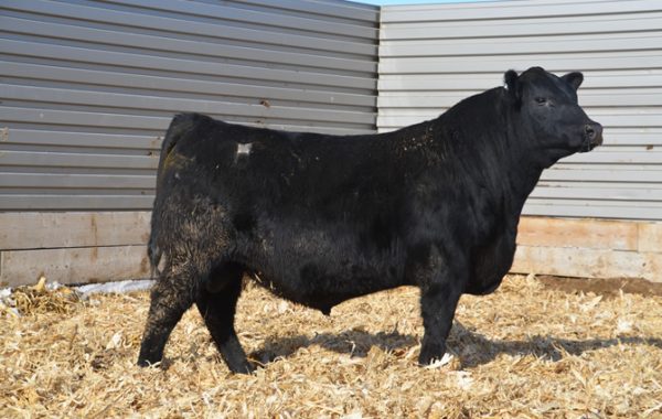 Lot 69