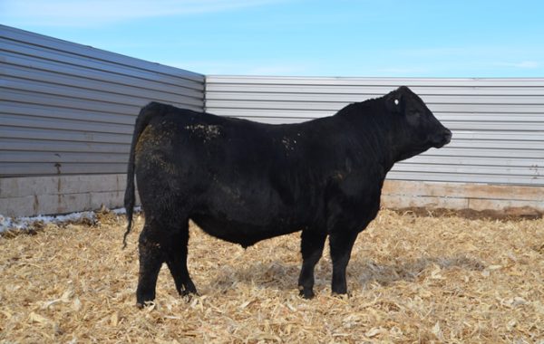 Lot 72