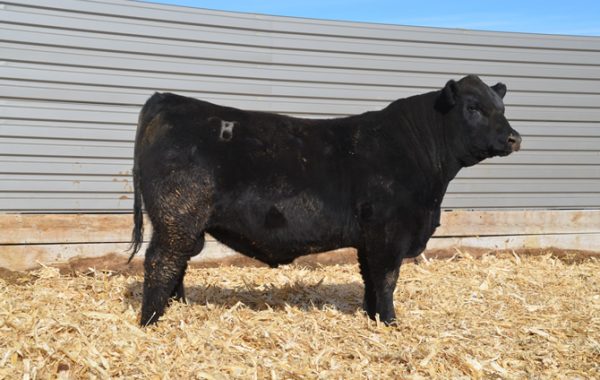 Lot 9