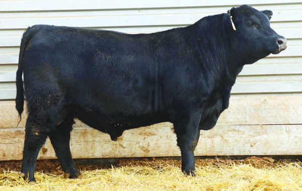 Lot 100