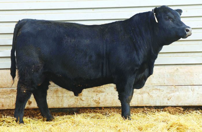 Lot 100