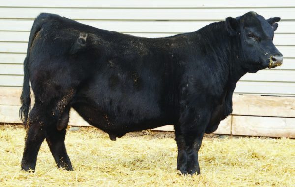 Lot 102