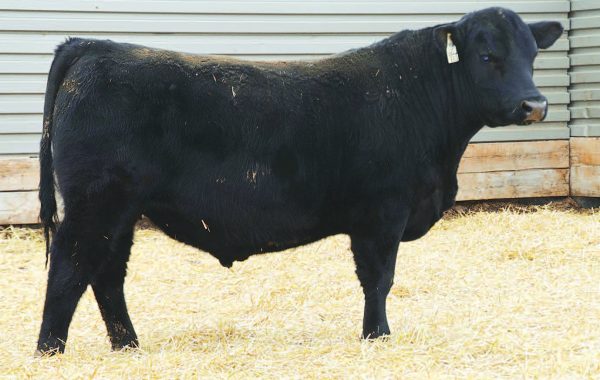 Lot 112