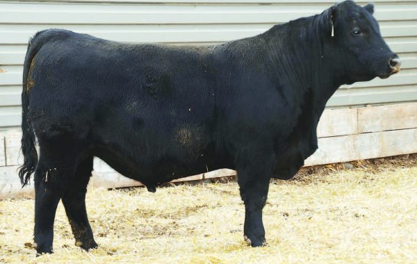 Lot 114