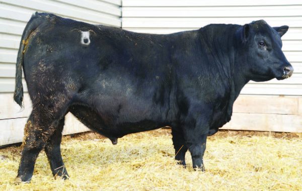 Lot 14