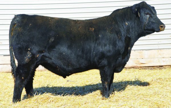 Lot 18