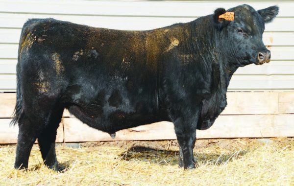 Lot 20