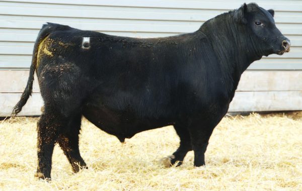Lot 22