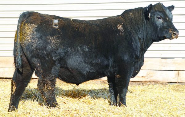 Lot 26