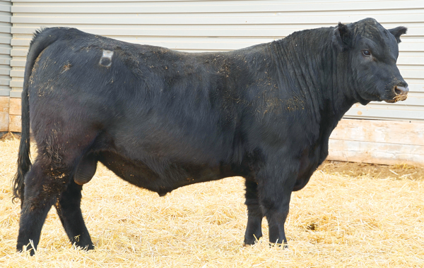 Lot 4
