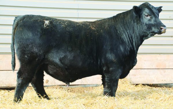 Lot 46