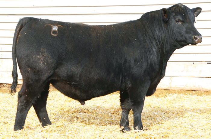 Lot 5