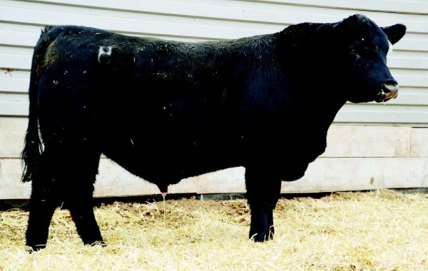 Lot 52