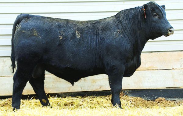 Lot 56