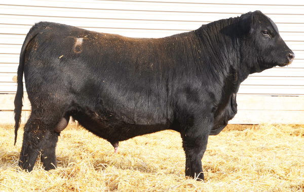 Lot 6