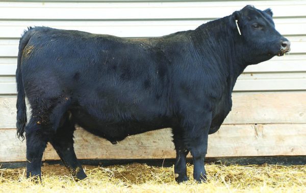 Lot 60