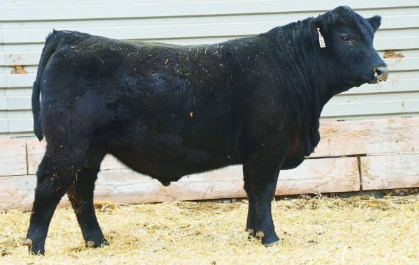 Lot 65