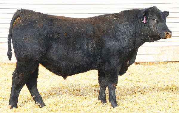Lot 7