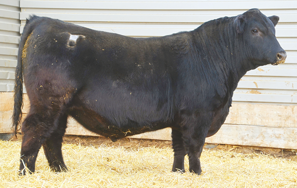 Lot 71