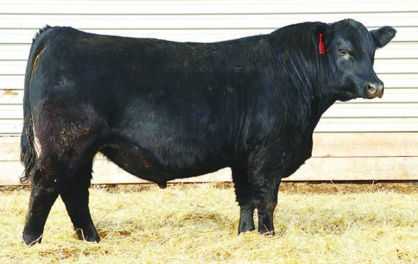 Lot 73