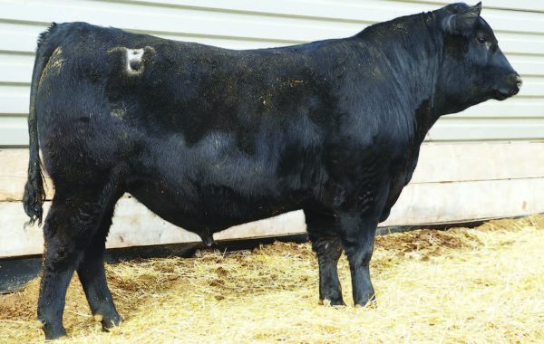 Lot 75