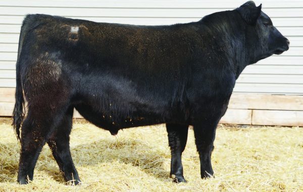 Lot 78