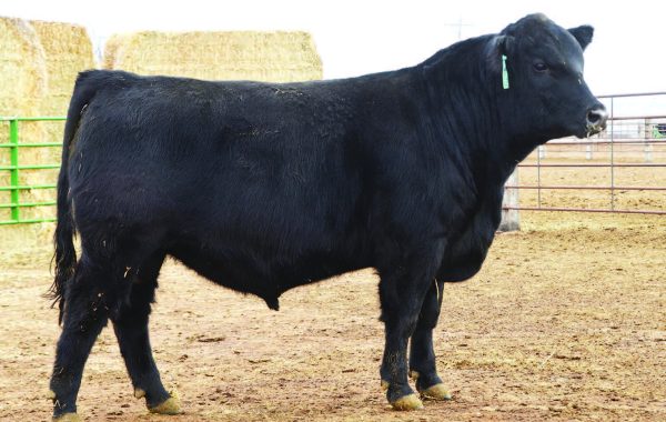 Lot 87