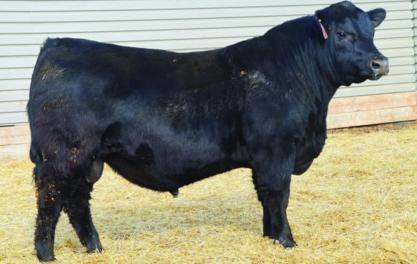 Lot 98