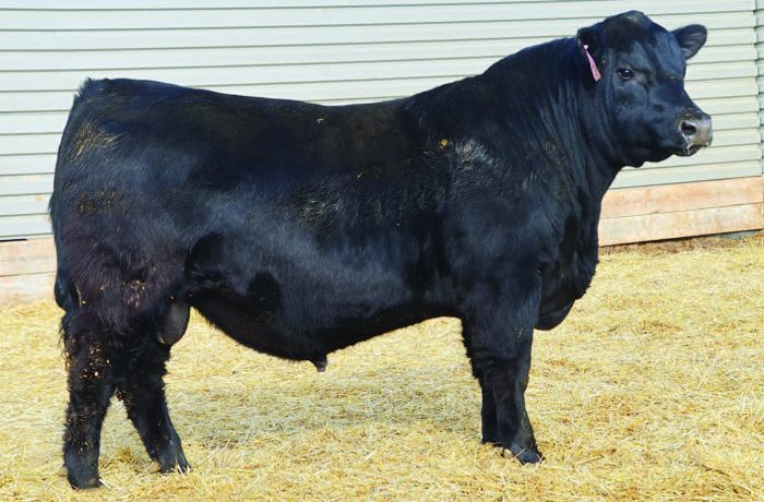 Lot 98